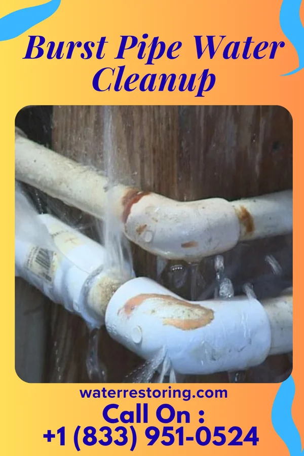 Burst Pipe Water Cleanup in Woodmore, MD