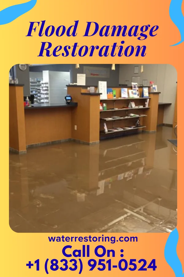 Flood Damage Restoration in Woodmore, MD