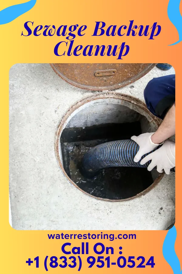 Sewage Backup Cleanup in Woodmore, MD